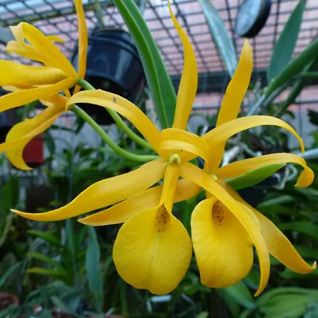 Zimmervermietung Babsy Zell am See